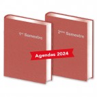 Lot de 2 Agendas Semestriels HG Panachés 2024