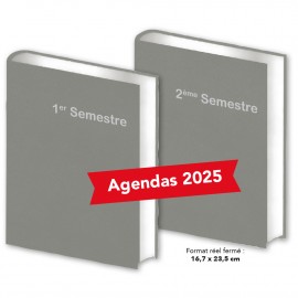 Lot de 2 Agendas Semestriels HG Gris 2025